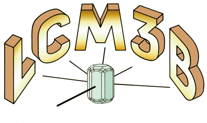 Logodoreberyl_l.JPG (115578 octets)